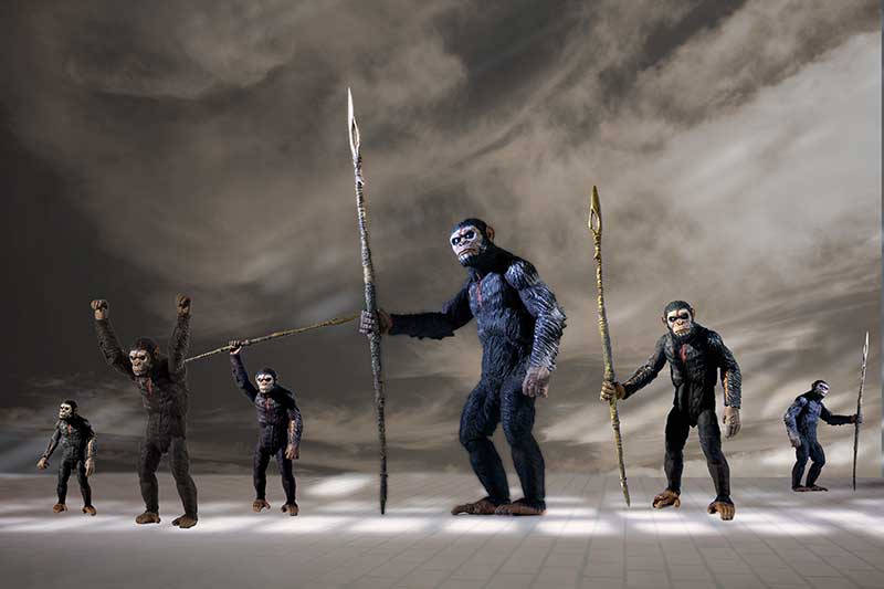 A group of apes, some have spears