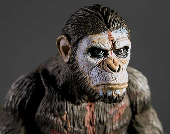ape portrait