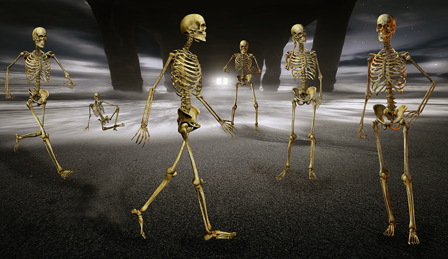 A gathering of skeletons at the beach