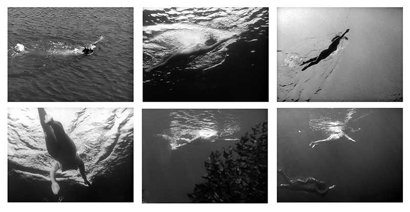 Stills of Julia Adams in the Black Lagoon