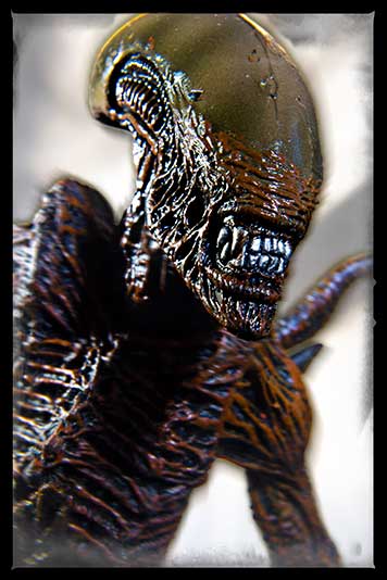 Warrior Xenomorph close-up