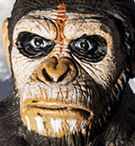 Ape Face