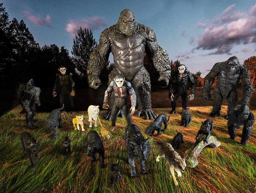 Apes and wolves exit the forest